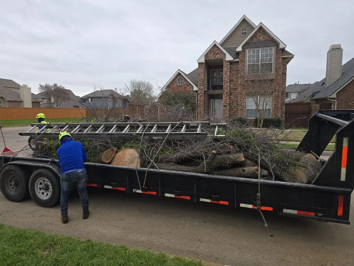 Expert Tree Fertilization with proper safety equipment in Red Hill